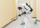 Reliable Best Pest Control Dublin Services for Homes