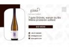 7 gute Gründe, warum du Bio Weine probieren solltest