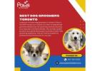 Toronto's Best Dog Groomers | Paws in the Bath