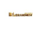 Brandnest Web Solutions – IT & Digital Marketing Company in India