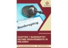 Chapter 7 Bankruptcy Income Requirements in
