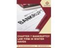 Chapter 7 Bankruptcy Law Firm in