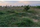 Commercial Land for Sale in Thailand