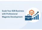 Scale Your B2B Business with Professional Magento Development