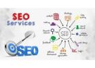 Expert SEO Services in India for Higher Rankings