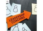 Programme de développement du leadership et coaching en leadership pour professionnels