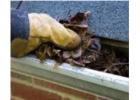 Need Gutter Repair Danville? Local Pros Ready to Help