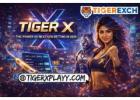 Tiger X - The Power of Next-Gen Betting in 2026