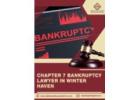 Chapter 7 Bankruptcy Lawyer in