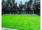 Low Maintenance Solutions with Artificial Turf Toowoomba