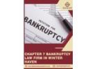 Chapter 7 Bankruptcy Law Firm in
