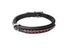 High Quality Dog Collars for Comfort, Safety & Durability
