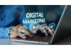 Best Digital Marketing Experts in India | 88gravity