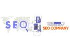 Best Seo Agency In Delhi  | IIS INDIA