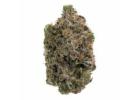 Buy Rainbow Driver Weed Strain in Canada
