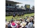 Global Viewing Guide for the Iconic Racing Event,