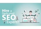 Hire SEO Expert in UK | Staffbank Outsourcing Solutions