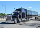 Reliable Freightliner Trucks for Sale Built for Performance