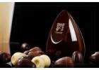 Taste the Magic: Discover Chocolates That Define Pure Euphoria!