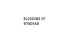 Same Day Flower Delivery Hoppers Crossing -  Blossom of Wyndham