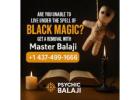 Best Black Magic Removal In Scarborough By Psychic Balaji