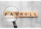 Payroll Software Companies in Delhi for Smart Business Management