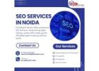 Professional SEO Services in Noida