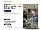 Expert Surgical Care for Pets When They Need It Most