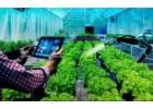 All-in-One Grower Management Software for Greenhouse Operations & Plant Nursery