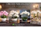 Luxury Orchid Arrangements in NYC