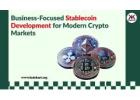 Business-Focused Stablecoin Development for Modern Crypto Markets