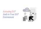 Activating SAP Joule in Your SAP Environment: A Complete Guide