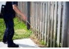Reliable Pest Control Jacksonville Services Delivering Safe Effective Long Term Pest Solutions