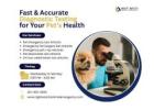 Fast & Accurate Diagnostic Testing for Your Pet’s Health