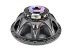 Balanced Sound Performance 12 Inch DJ Speaker for Professional Use