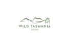 Top Hiking Tours in Tasmania for Outdoor Enthusiasts