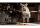 Rodent Extermination Company Dallas TX