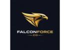 Seo Service In Ludhiana - Falcon Force