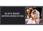 Black Magic Astrologer in Michigan