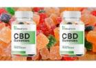 Seca Farms CBD Gummies