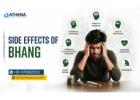 Side Effects of Bhang You Should Know Today