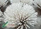 Fiberglass Plant Stakes Wholesale - Vantidebamboo.com