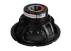 Compact Power 10 Inch DJ Speaker for Clear and Balanced Sound