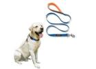 Premium Dog Collars and Leashes by Waggety for Daily Walks