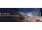 Digital Certificate Management for Secure Identity Control and Scalable Enterprise Protection