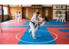 Online Buy MMA Mat in Dubai | Gravolite Gulf