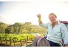 Explore Vineyards Hunter Valley For Quality Wine