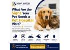 What Are the Signs Your Pet Needs a Pet Hospital Visit?