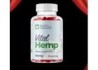 Vital Hemp Gummies Australia