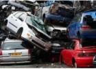 Find Reliable and Holistic Site Cleanup Service in Adelaide